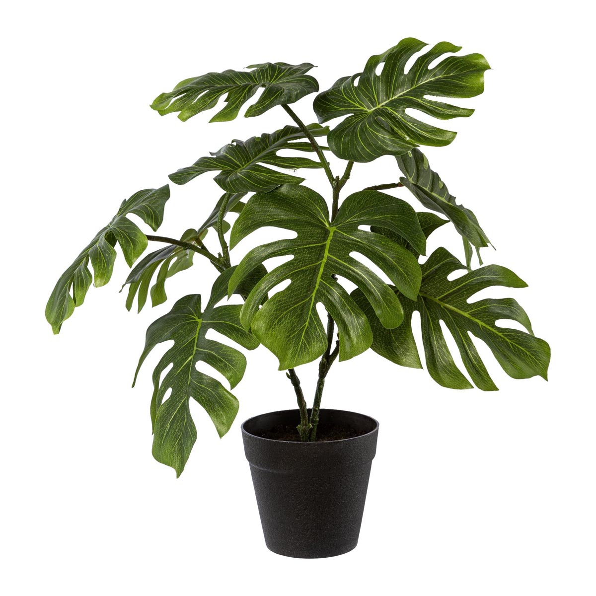 Gasper Umělý Philodendron
