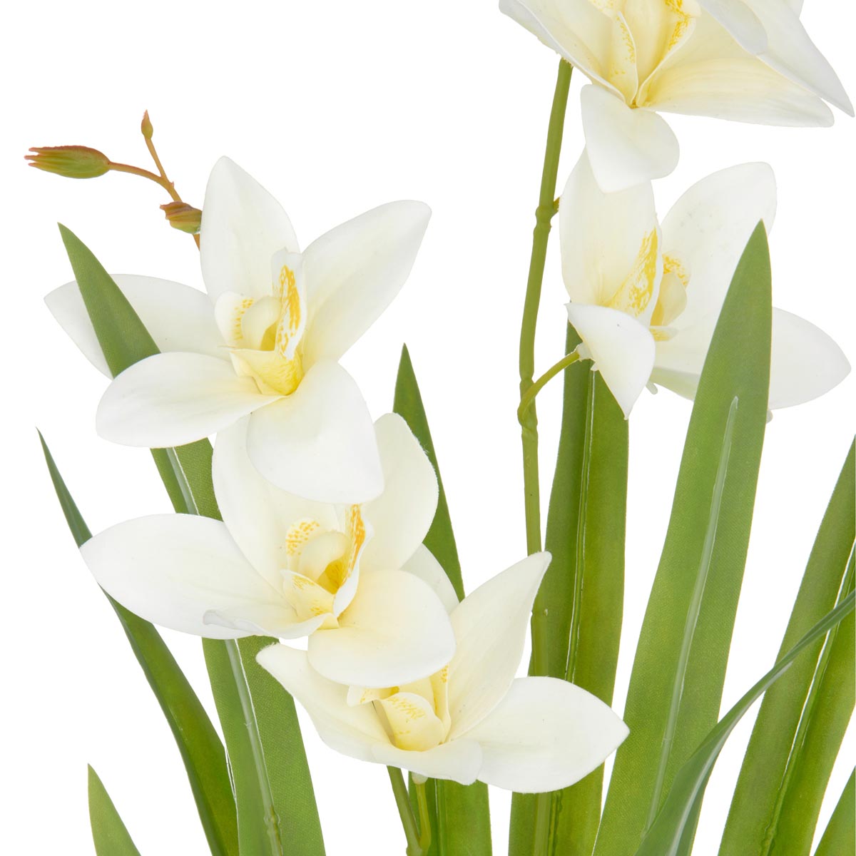 Gasper Umělá orchidej Cymbidium
