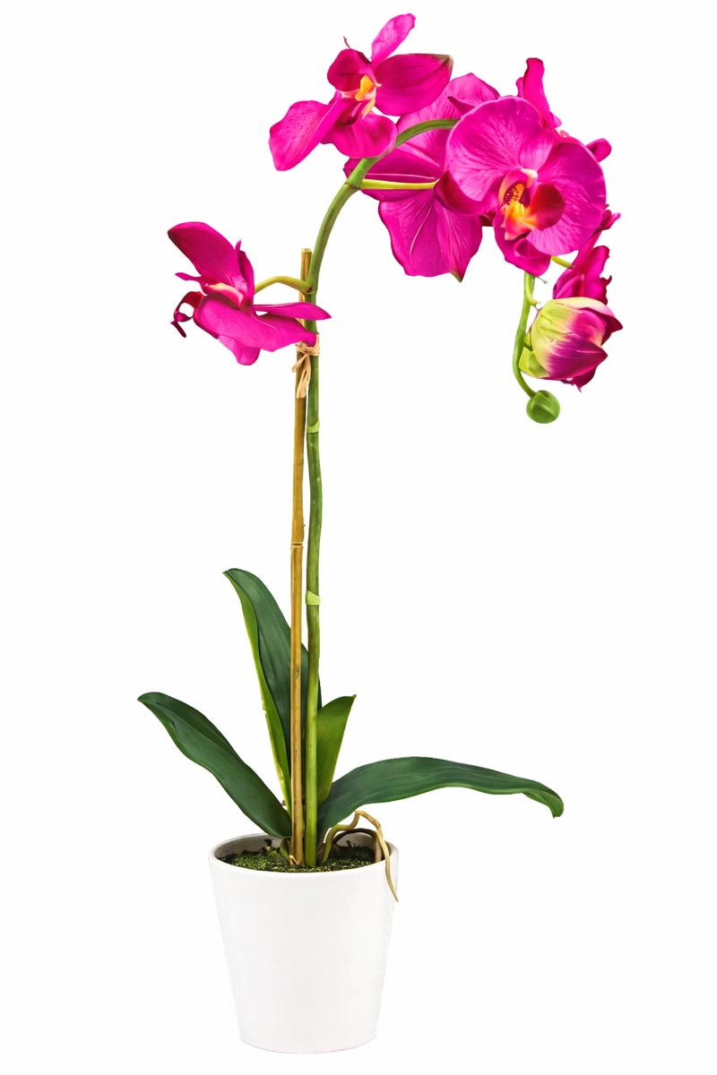 Umělá orchidej v květináči