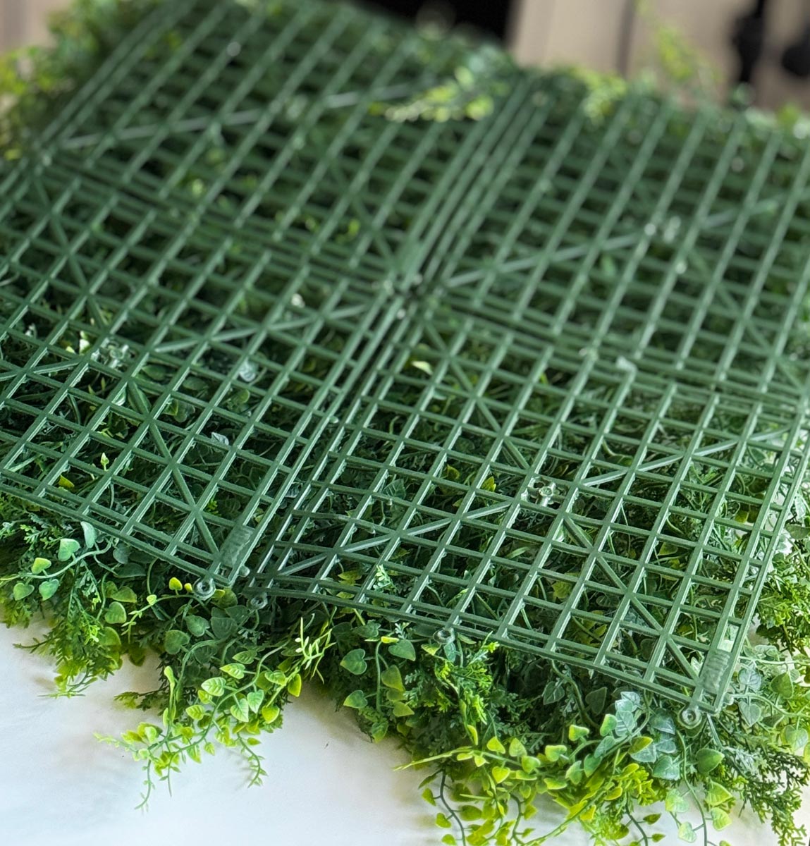 Umělá zelená stěna asparagus 50 × 50 cm