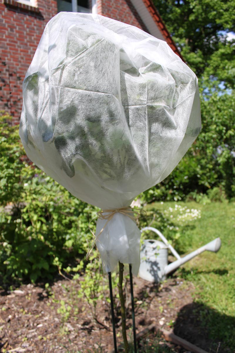 Videx Garden Ochranná netkaná textilie na rostliny 150 x 500 cm, bílá