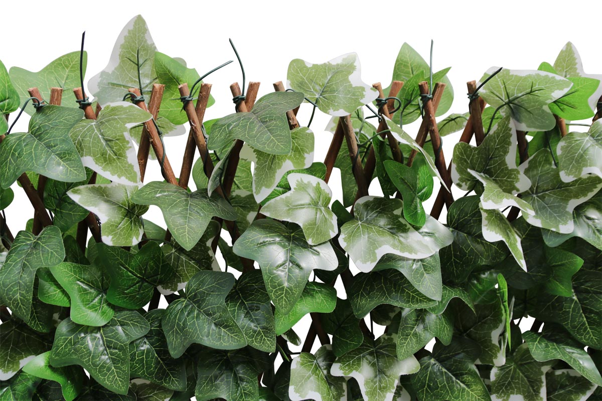 Videx Garden Umělý živý plot Břečťan na treláži, 60 - 425 cm