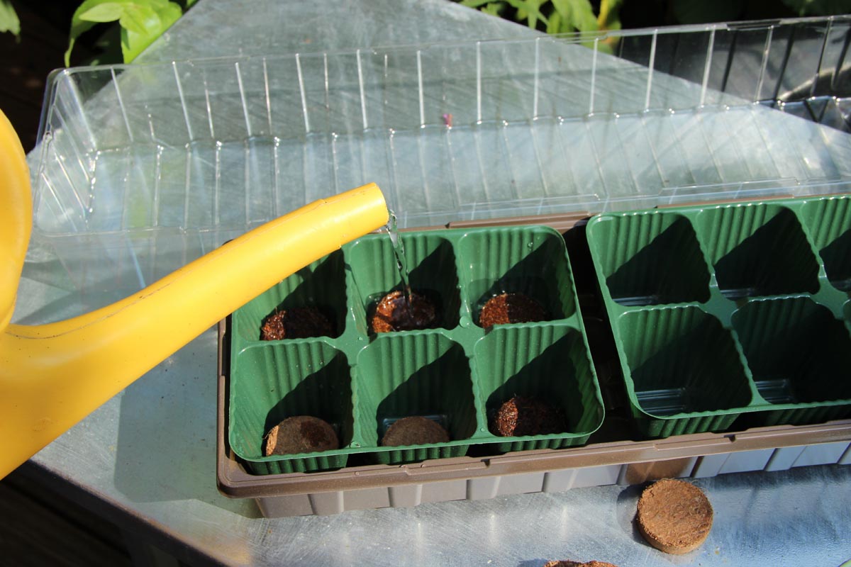 Videx Garden Minipařeniště s 18 květináči