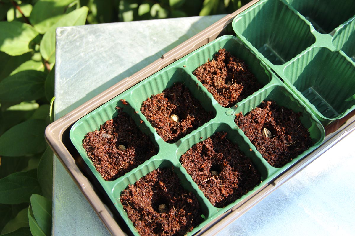 Videx Garden Minipařeniště s 18 květináči