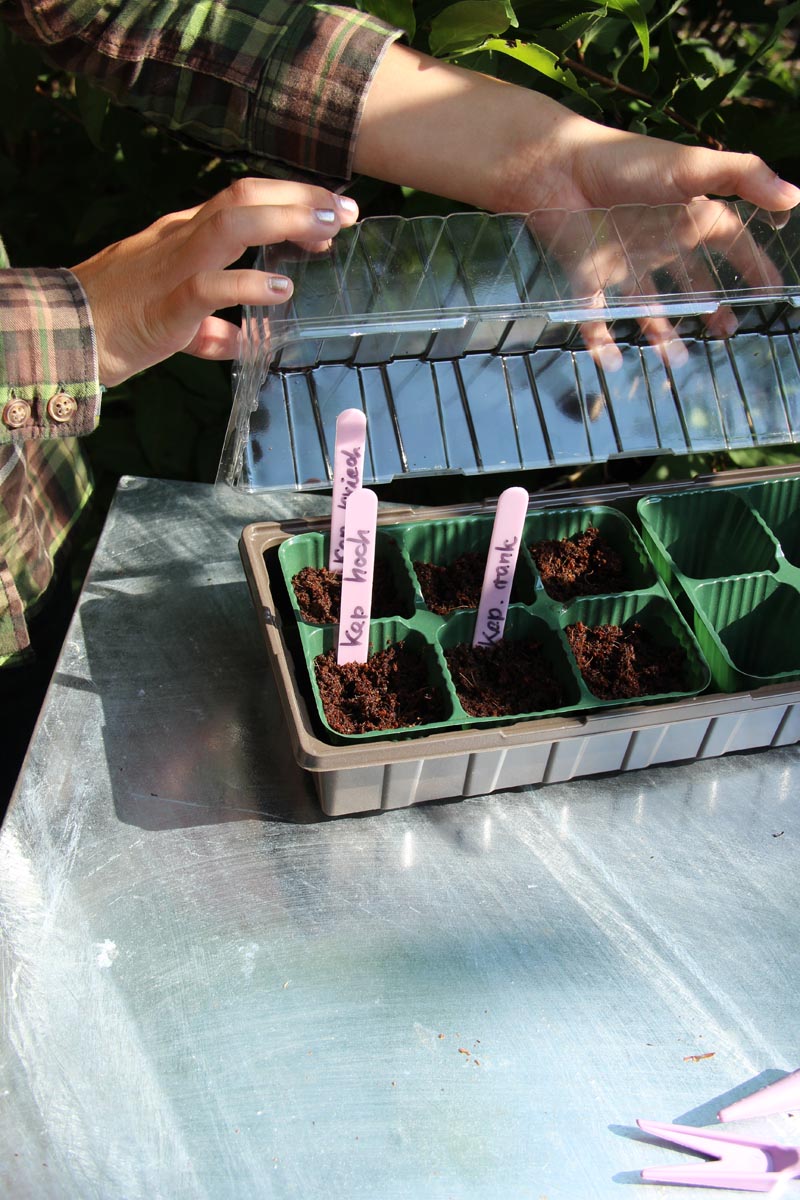 Videx Garden Minipařeniště s 18 květináči