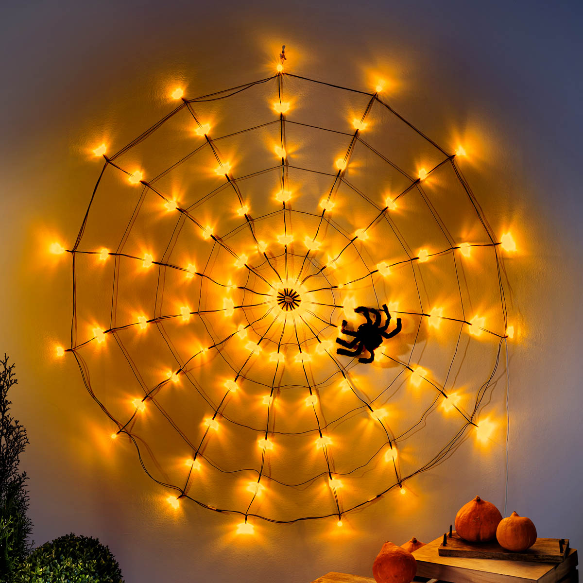 E-shop Weltbild LED dekorace Pavučina s pavoukem