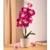 LED Umělá orchidej