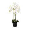 Orchidej x 4 v resinovém květináči, 99 cm, bílá