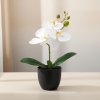 Umělá orchidej Phalaenopsis, bílá