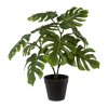 Umělý Philodendron