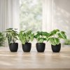 Umělé zelené rostliny, sada 4 ks