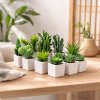 Umělé sukulenty keramickém květináči, sada 12 ks