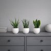 Umělé sukulenty, sada 3 ks
