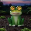 LED Solární zahradní soška Žába