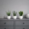 Umělé sukulenty, sada 3 ks, II. jakost