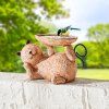 Pítko pro ptáky Kočka