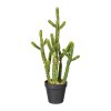 Umělý kaktus Euphorbia, 45 cm