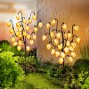 LED Zahradní zápich Physalis, 2 ks