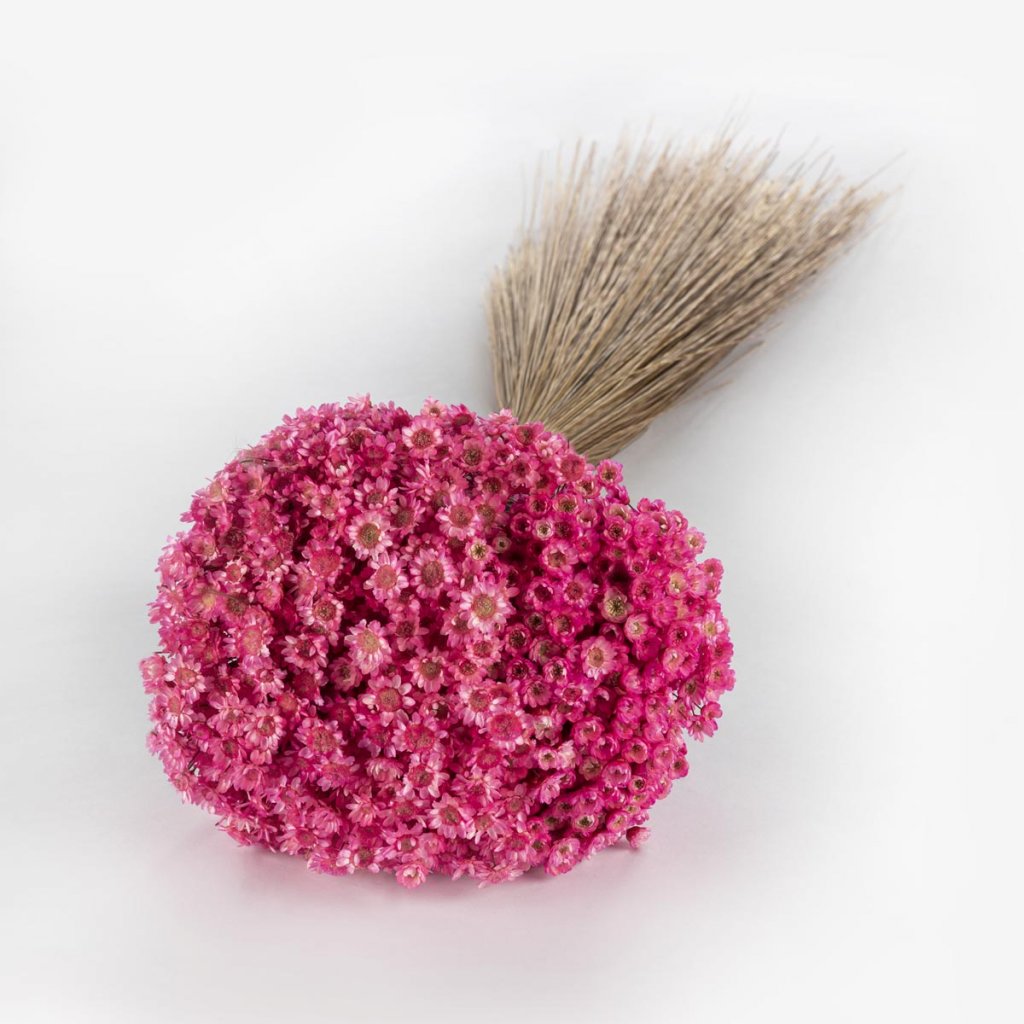 Sušené kvety Glixia, ružová - Velký Košík