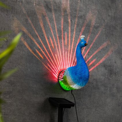 LED solárna nástenná dekorácia Peacock