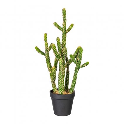 Umelý kaktus Euphorbia, 45 cm