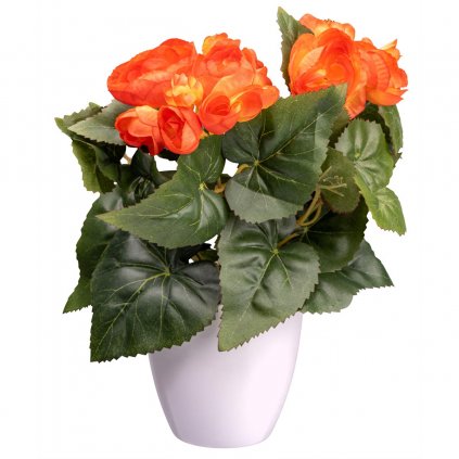 Umelý kvet Begonia, oranžová