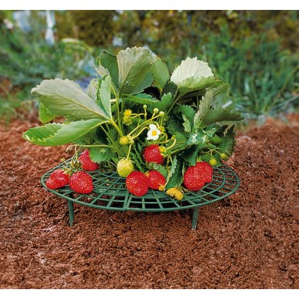 Mriežka na jahody, 5 ks