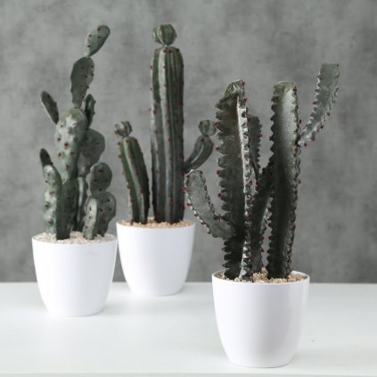 Umelá rastlina Kaktus, sada 3 ks