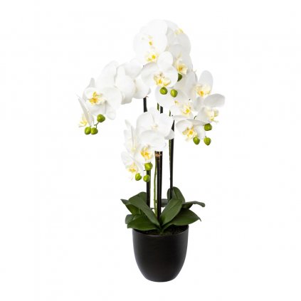Orchidea x4, 69 cm biela v živicovom kvetináči 15,
