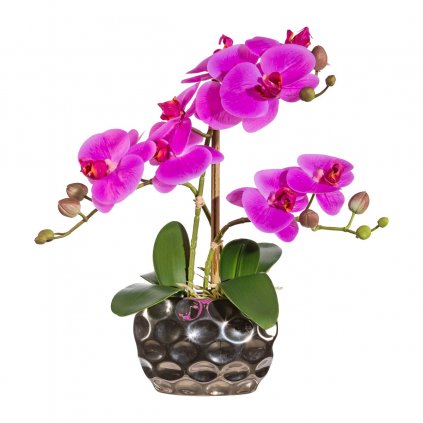 Orchidea x3, približne 30 cm, fialová, v oválnej váze