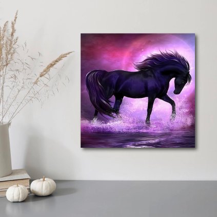 Diamantové maľovanie Black Horse