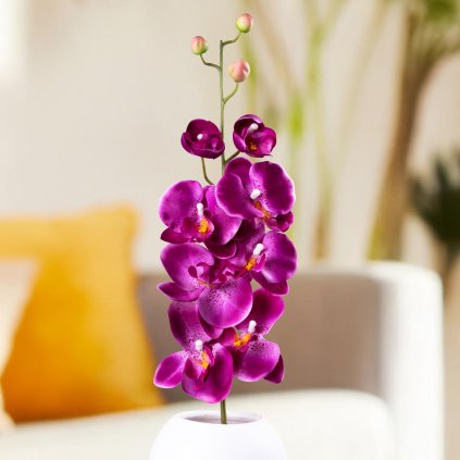 Umelá orchidea, fialová