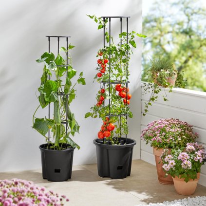 Kvetináč na paradajky s oporou, malý