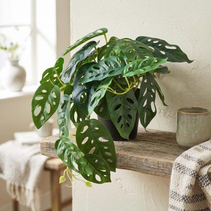 Umelá Monstera adansonii