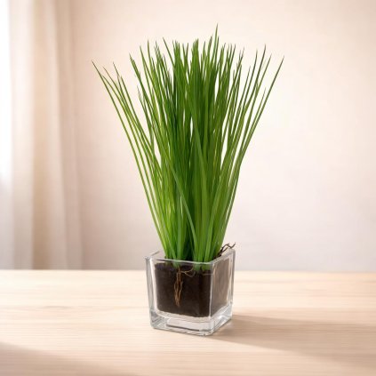 Dekoratívna tráva v skle