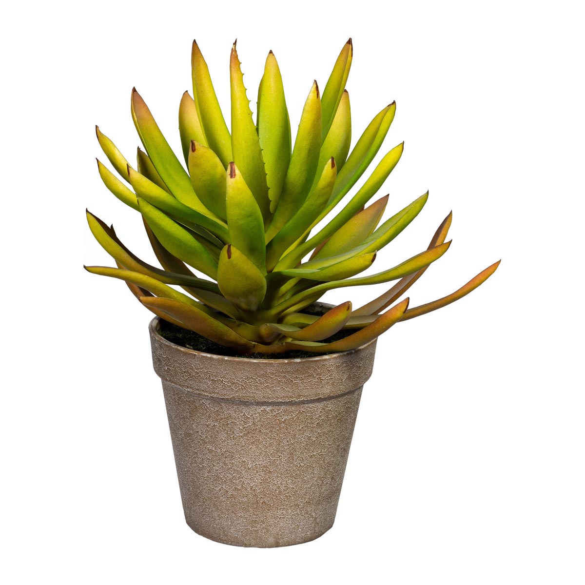 E-shop Umelý kvet Aloe, 24 cm