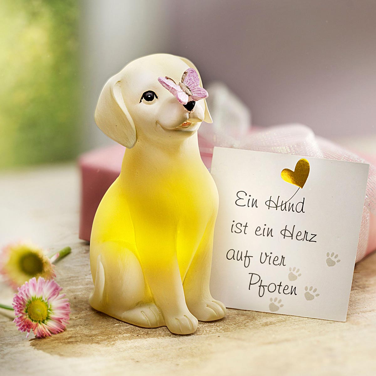 E-shop Darčeková sada LED figúrky Doggie