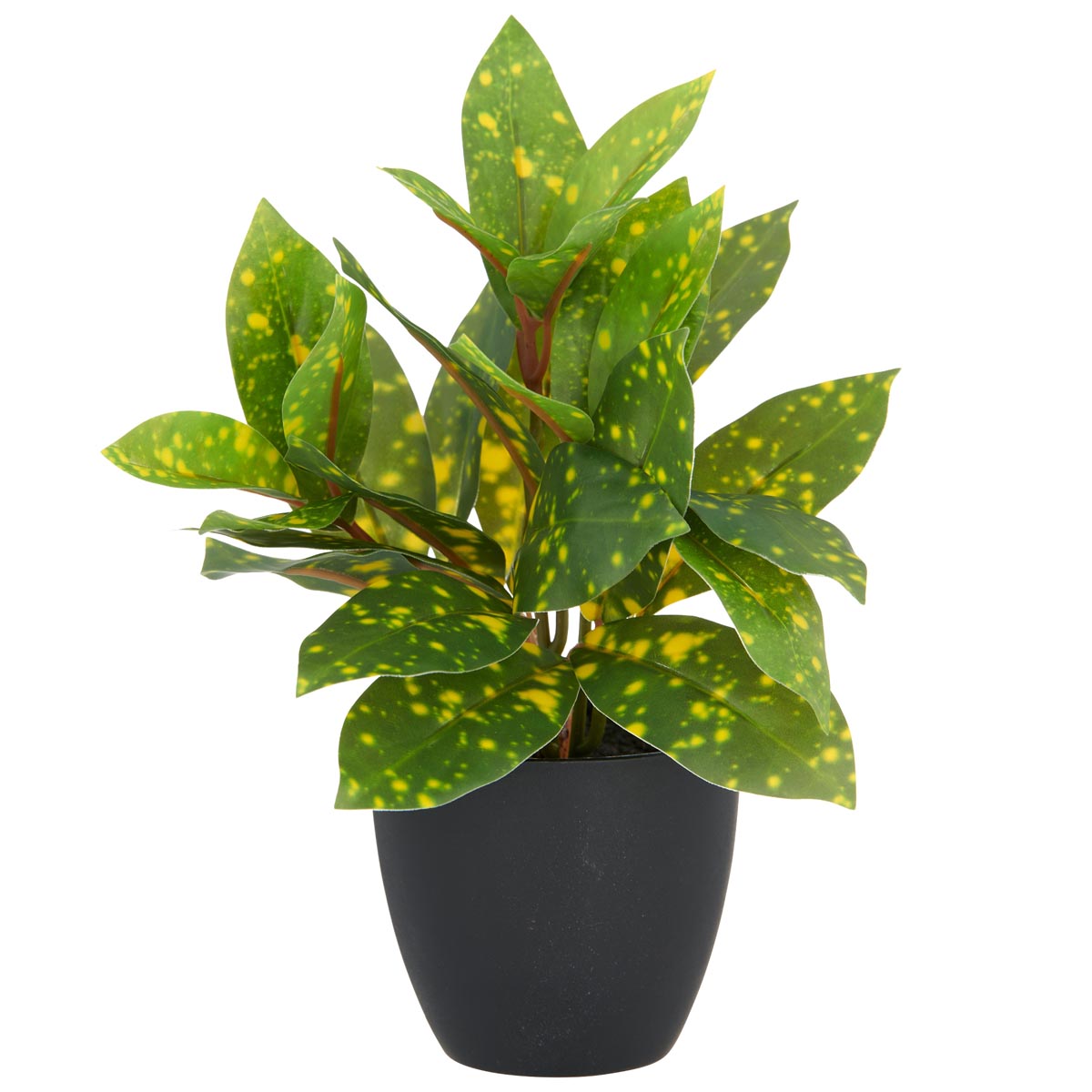 E-shop Umelá aukuba, 24 cm