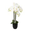 Orchidea x 4 v živicovom kvetináči, 83 cm, biela