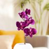Umelá orchidea, fuchsia