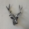 Nástenná dekorácia Deer