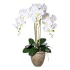 Umelá orchidea Phalaenopsis, biela