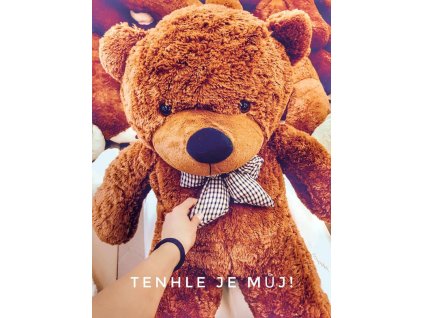 velky plysovy medved kawaii hnedy 130cm 1