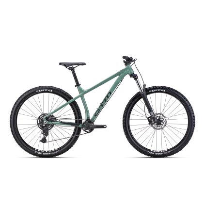 CTM ZEPHYR Comp 29" tmavá šalviová / lesklá čierna 2024 (Velikost rámu XL)