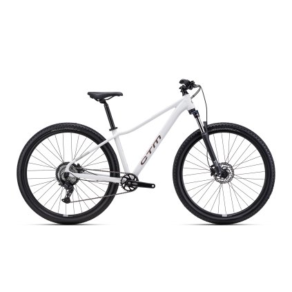 CTM CHARISMA 1.0 29" matná svetlošedá 2026 (Velikost rámu M)