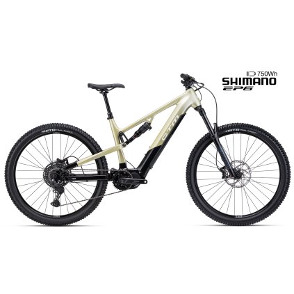 CTM REZIST Comp čierna / svetlá zlatá 2026 (Velikost rámu M)