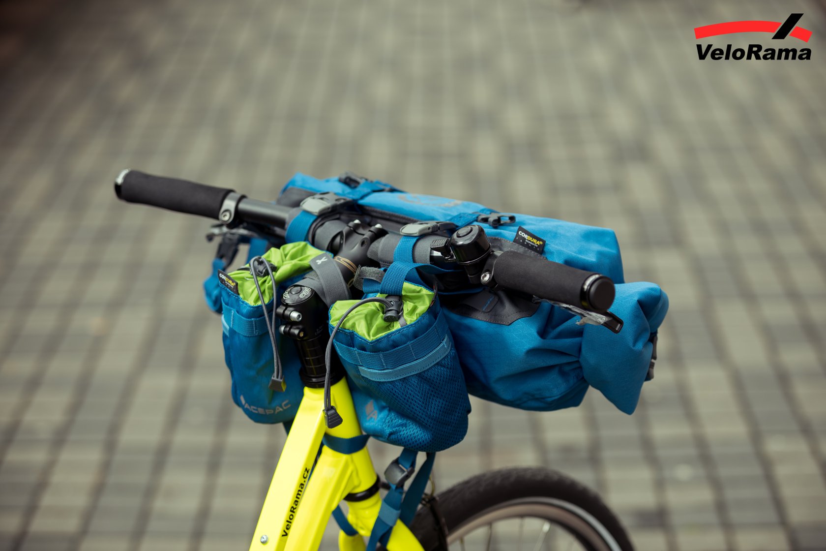 61043476_2630022290361157_846610767837921280_o