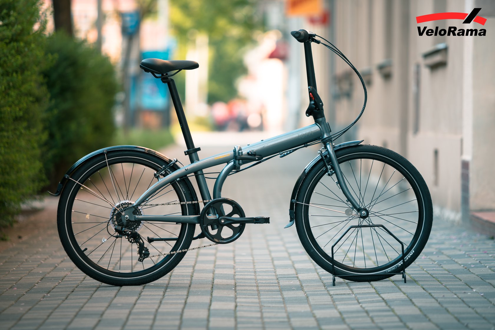 62517605_2656853417678044_2531204693468643328_o