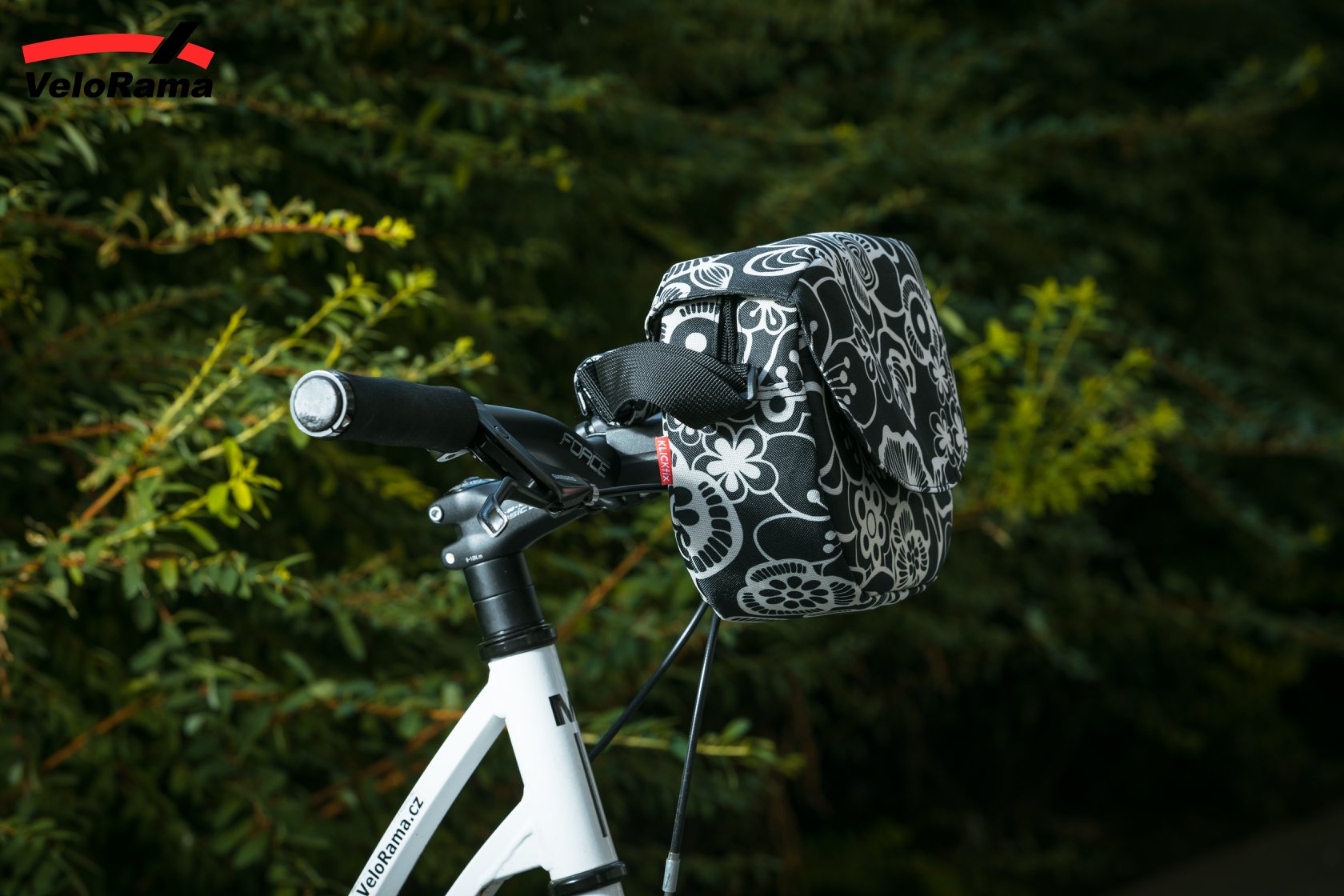 68491260_2796175650412486_7493055667507298304_o