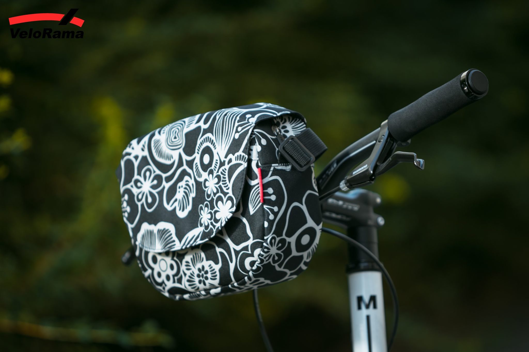 69421167_2796175770412474_8008571310621851648_o